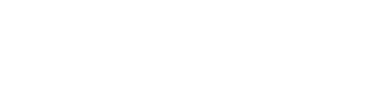 Whisper Project